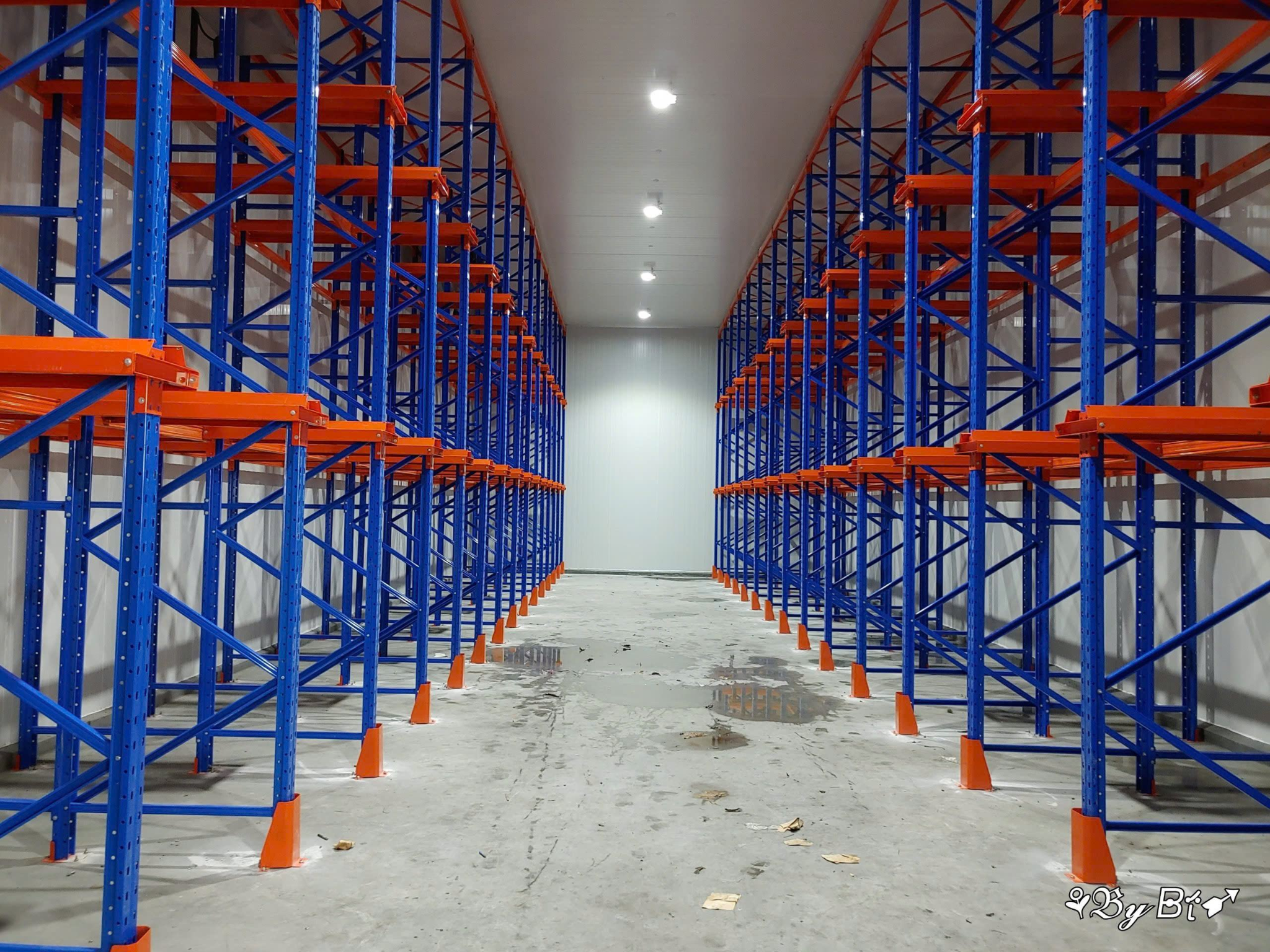 Các yếu tố ảnh hưởng đến giá Kệ Drive-in